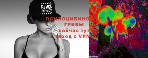 тгк Аркадак