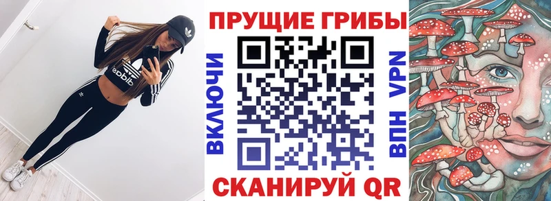 Псилоцибиновые грибы Psilocybe  как найти закладки  Снежинск 